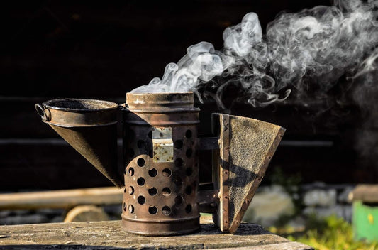 Tips for Choosing the Right Beekeeping Equipment