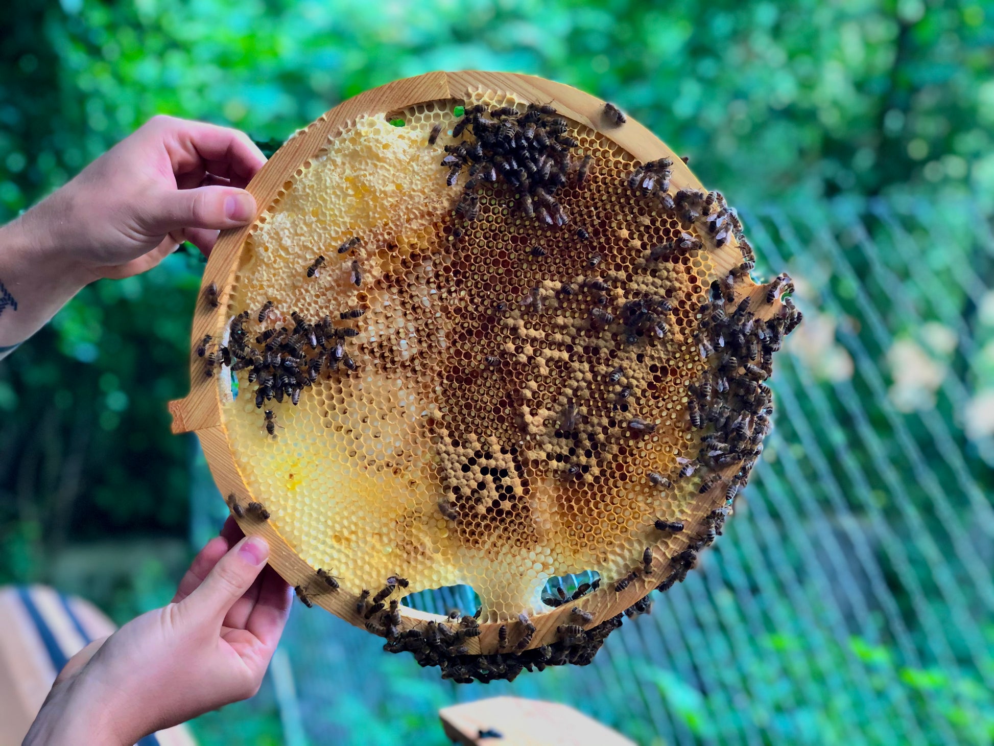 round beekeeping design frame