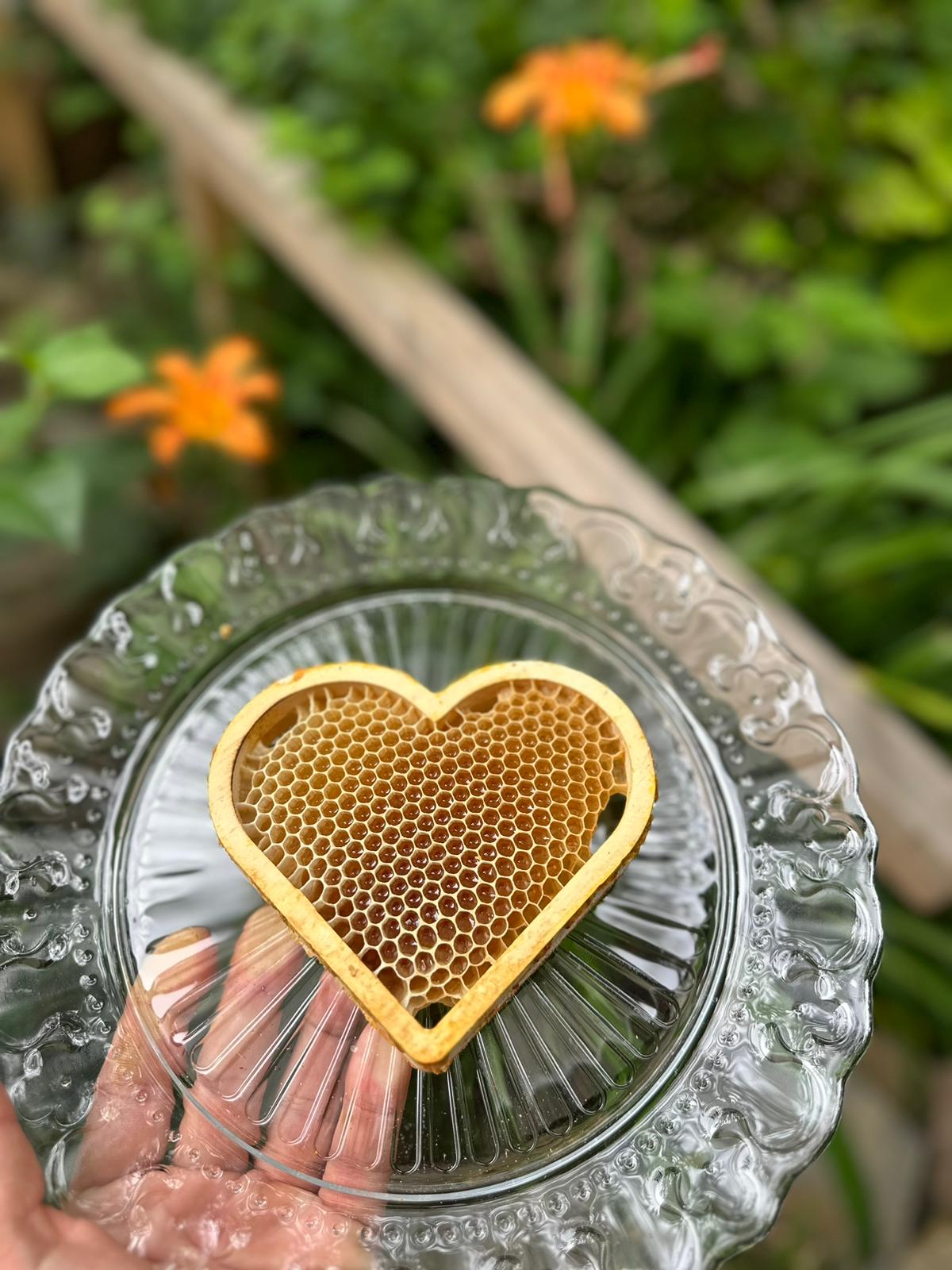 Honeycomb heart