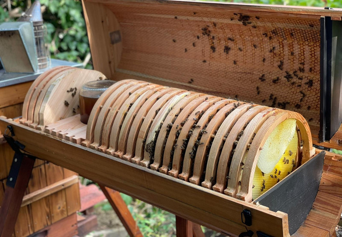 The Basics of Beekeeping: What You Need to Know