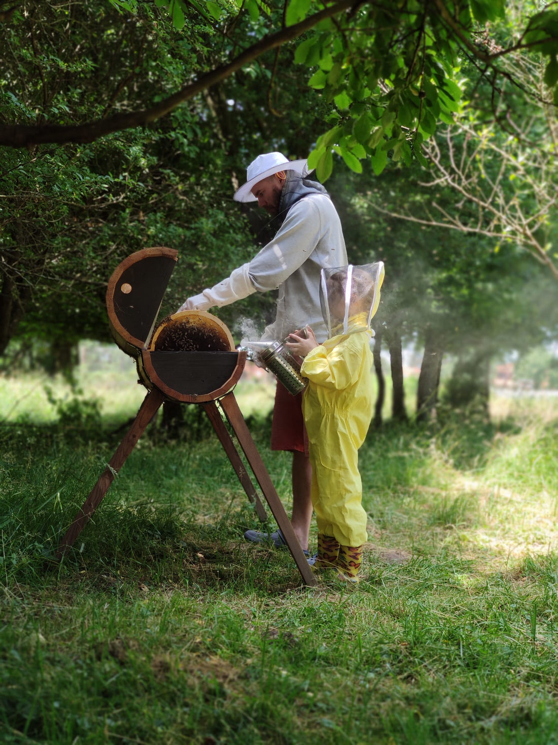 The Impact of Beekeeping on Pollination and the Environment