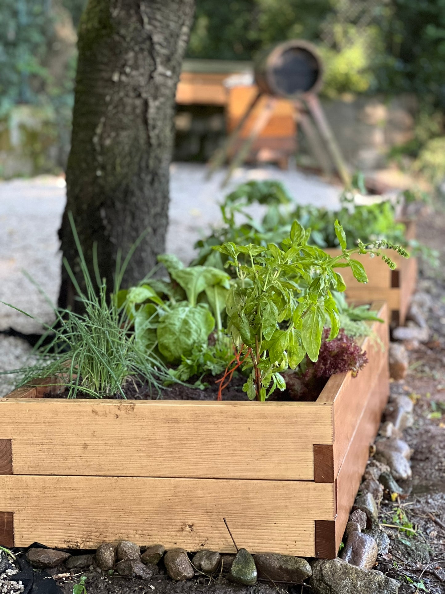 Hochbeet mit integriertem Gewächshaus