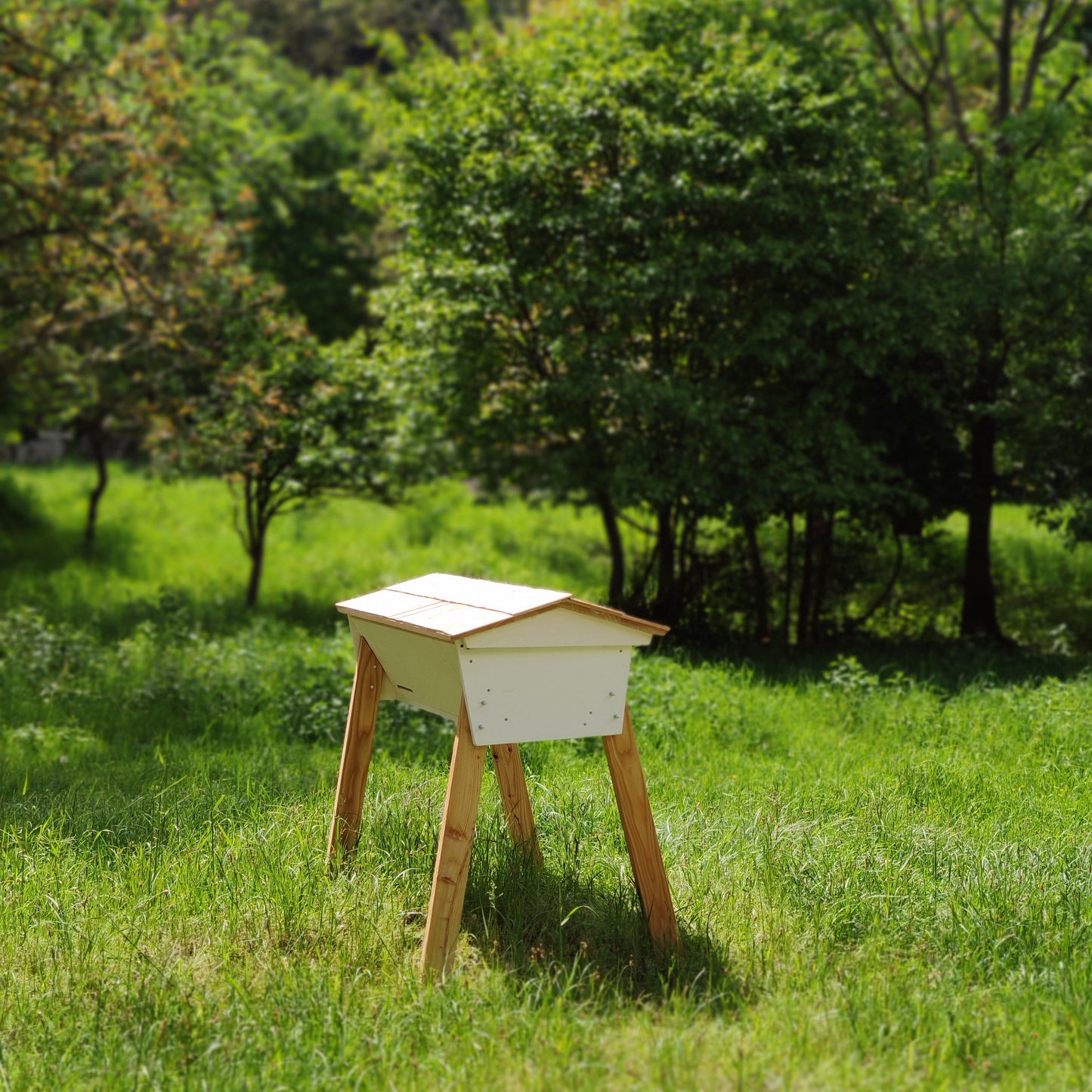 Beehive TOP BAR HIVE