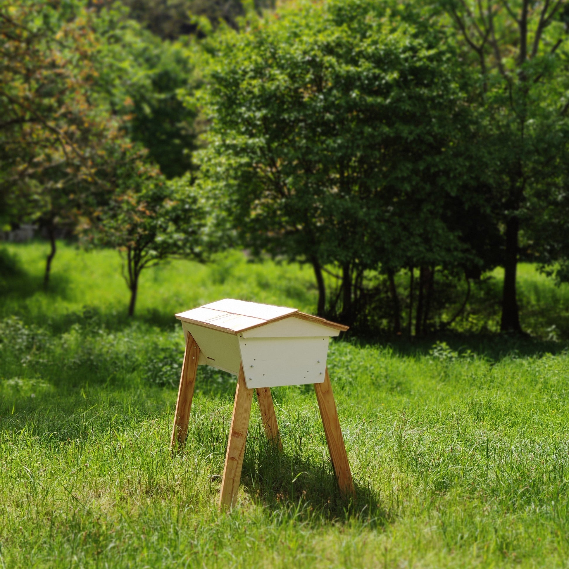 Side view of natural beekeeping top bar hive with observation window