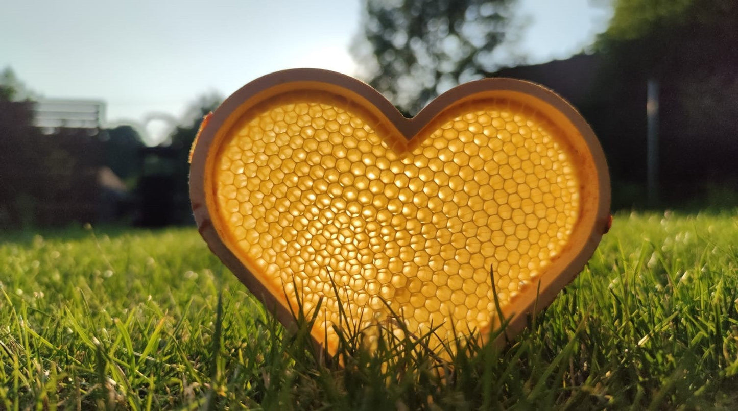 Einheitsmaß and Deutsch Normal Maß heart frame for European beekeeping