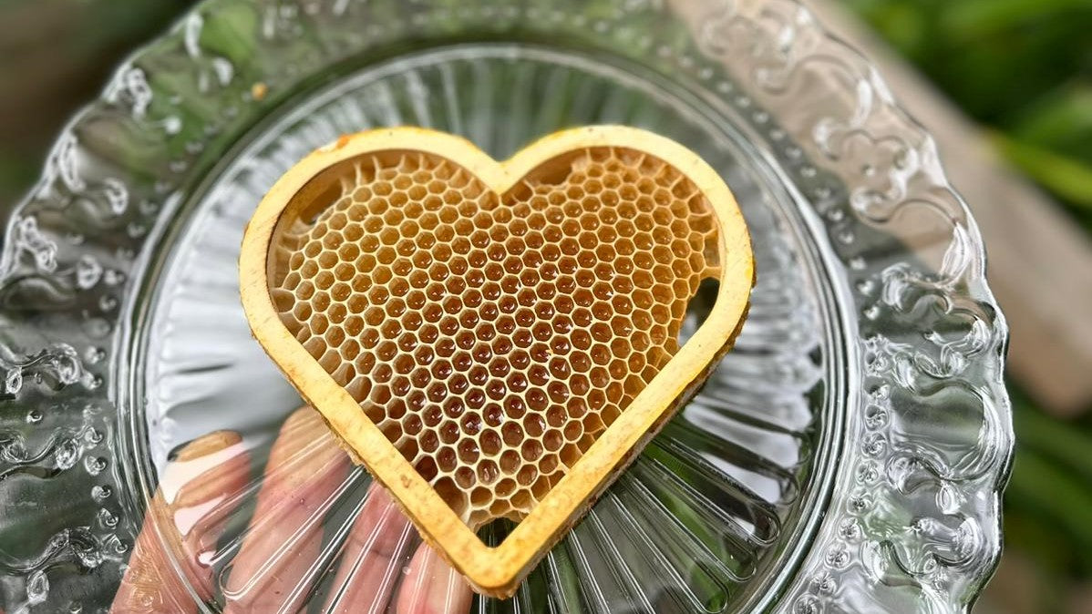 Langstroth Medium heart frame with linden wood construction